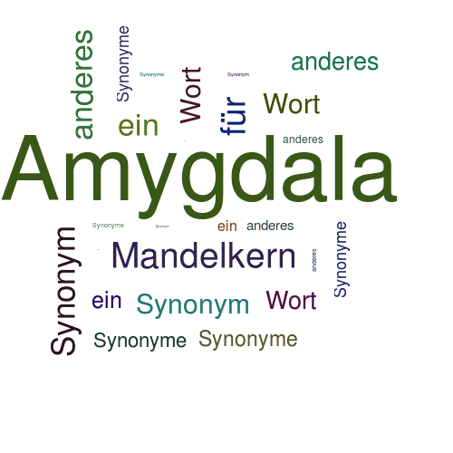 Ein anderes Wort für Amygdala - Synonym Amygdala