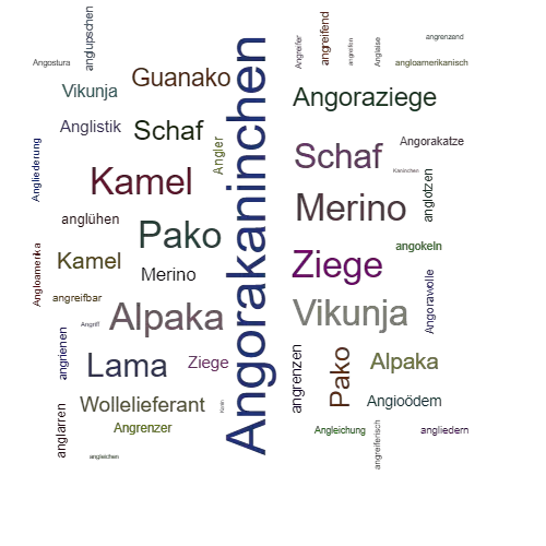 Ein anderes Wort für Angorakaninchen - Synonym Angorakaninchen