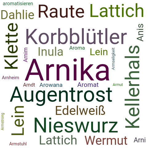 Ein anderes Wort für Arnika - Synonym Arnika