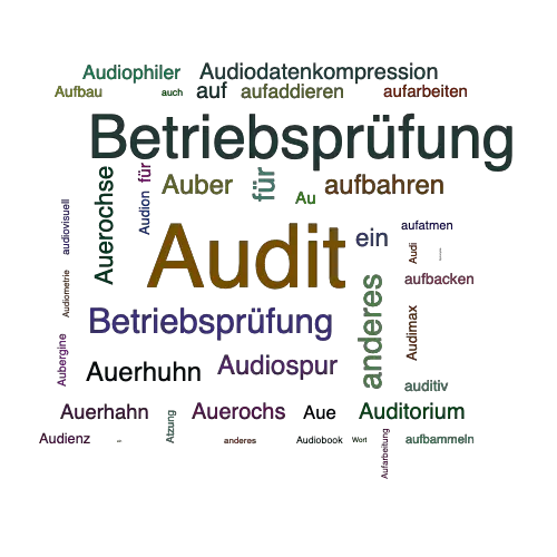 Ein anderes Wort für Audit - Synonym Audit