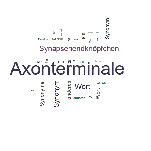 Ein anderes Wort für Axonterminale - Synonym Axonterminale