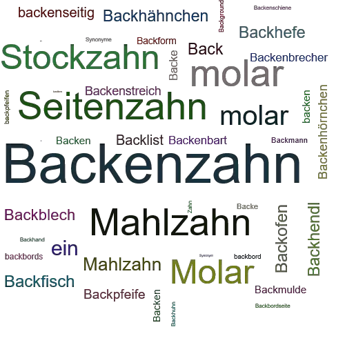 Ein anderes Wort für Backenzahn - Synonym Backenzahn