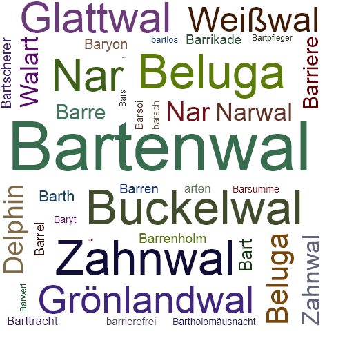 Ein anderes Wort für Bartenwal - Synonym Bartenwal