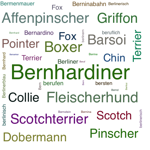Ein anderes Wort für Bernhardiner - Synonym Bernhardiner