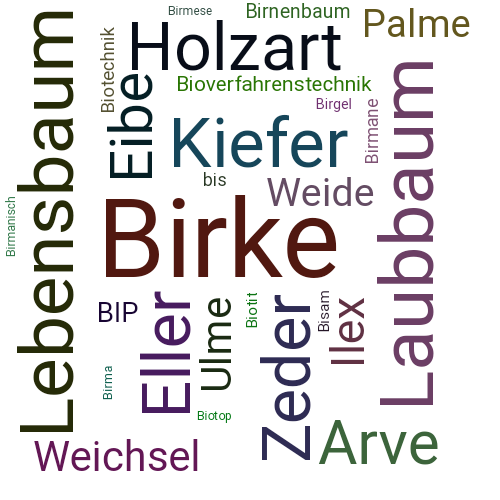 Ein anderes Wort für Birke - Synonym Birke