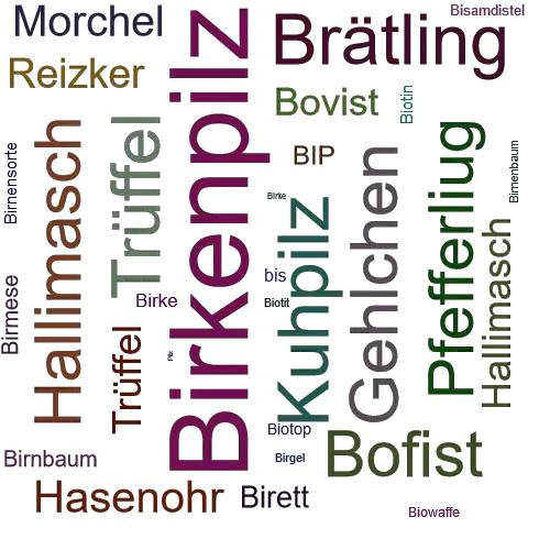 Ein anderes Wort für Birkenpilz - Synonym Birkenpilz