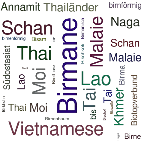 Ein anderes Wort für Birmane - Synonym Birmane