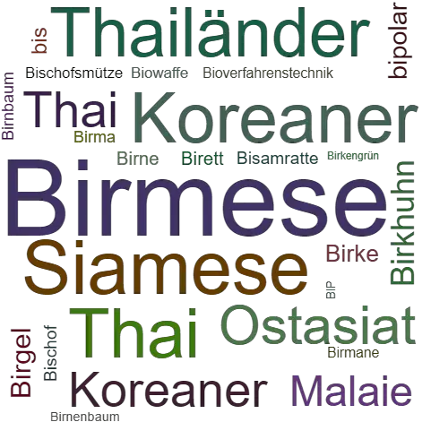 Ein anderes Wort für Birmese - Synonym Birmese