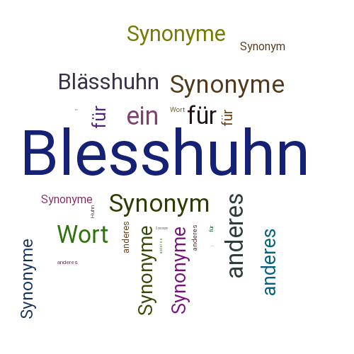 Ein anderes Wort für Blesshuhn - Synonym Blesshuhn