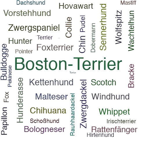 Ein anderes Wort für Boston-Terrier - Synonym Boston-Terrier