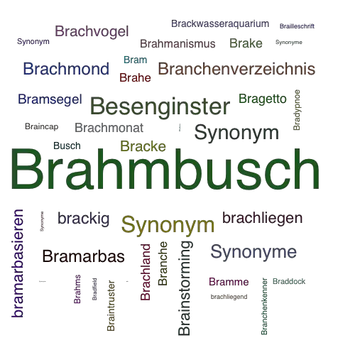 Ein anderes Wort für Brahmbusch - Synonym Brahmbusch