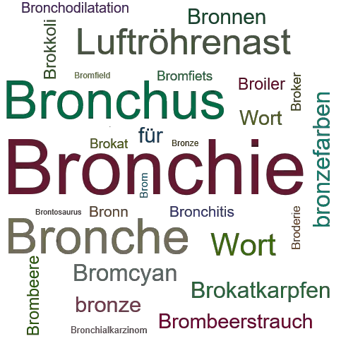 Ein anderes Wort für Bronchie - Synonym Bronchie