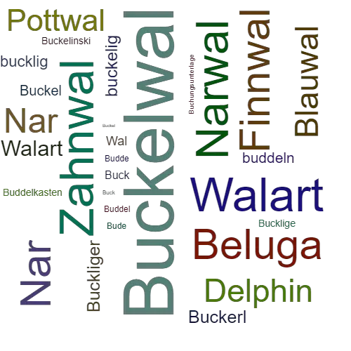 Ein anderes Wort für Buckelwal - Synonym Buckelwal