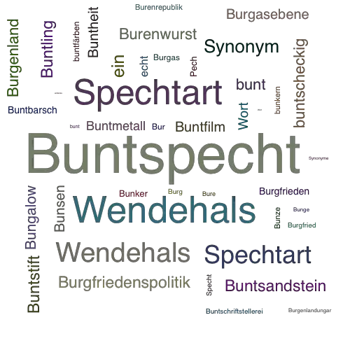 Ein anderes Wort für Buntspecht - Synonym Buntspecht