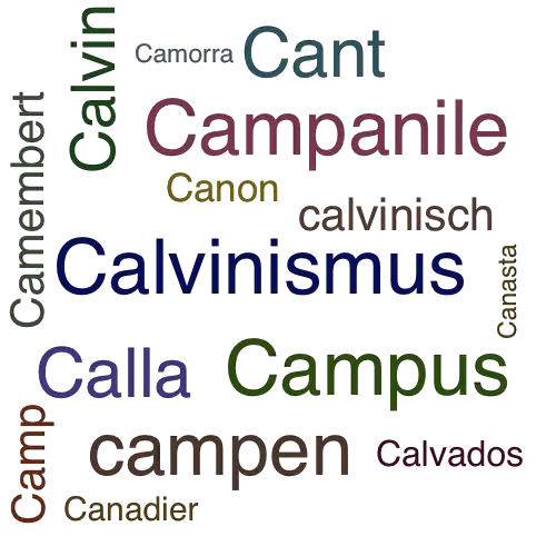Ein anderes Wort für CAM - Synonym CAM