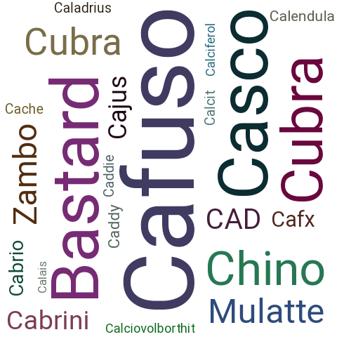 Ein anderes Wort für Cafuso - Synonym Cafuso