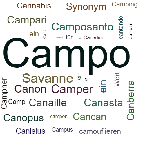 Ein anderes Wort für Campo - Synonym Campo