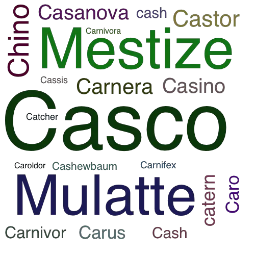 Ein anderes Wort für Casco - Synonym Casco