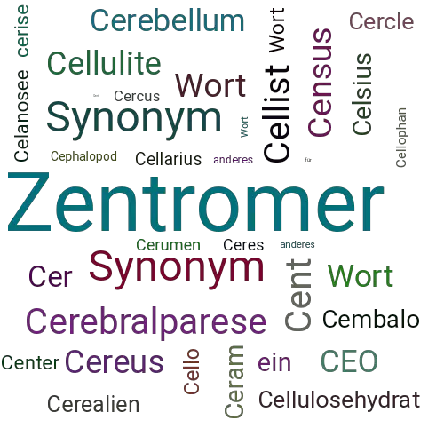 Ein anderes Wort für Centromer - Synonym Centromer