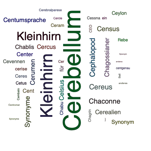 Ein anderes Wort für Cerebellum - Synonym Cerebellum