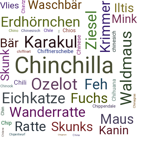 Ein anderes Wort für Chinchilla - Synonym Chinchilla