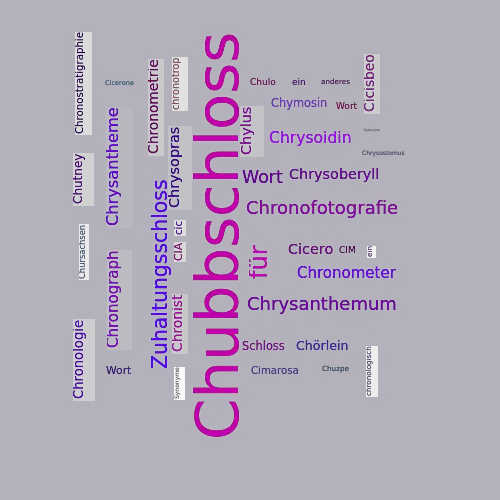 Ein anderes Wort für Chubbschloss - Synonym Chubbschloss