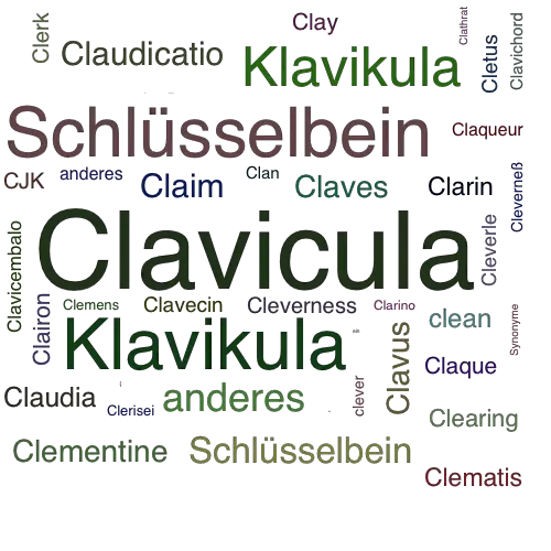 Ein anderes Wort für Clavicula - Synonym Clavicula