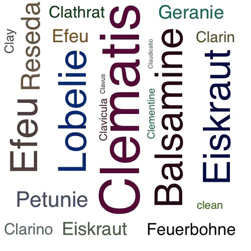 Ein anderes Wort für Clematis - Synonym Clematis