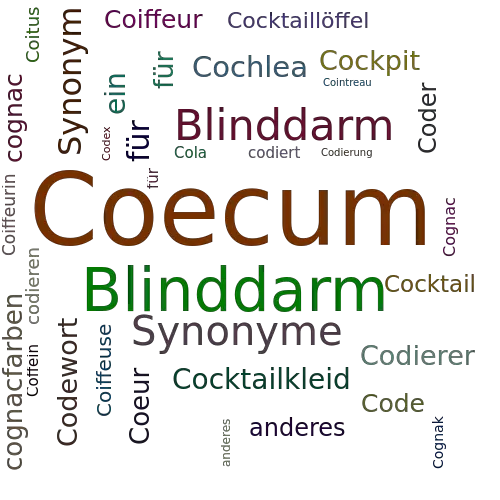 Ein anderes Wort für Coecum - Synonym Coecum