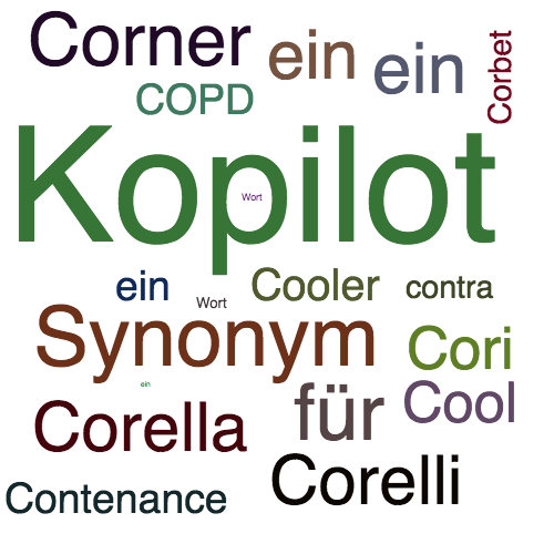 Ein anderes Wort für Copilot - Synonym Copilot