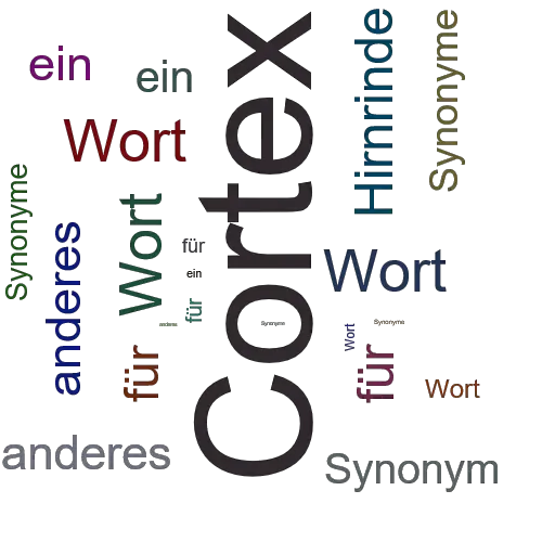 Ein anderes Wort für Cortex - Synonym Cortex