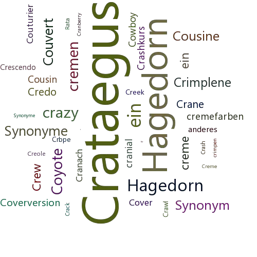Ein anderes Wort für Crataegus - Synonym Crataegus