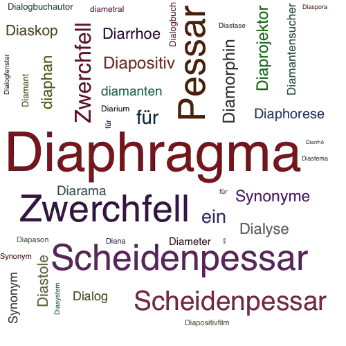Ein anderes Wort für Diaphragma - Synonym Diaphragma