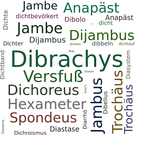 Ein anderes Wort für Dibrachys - Synonym Dibrachys