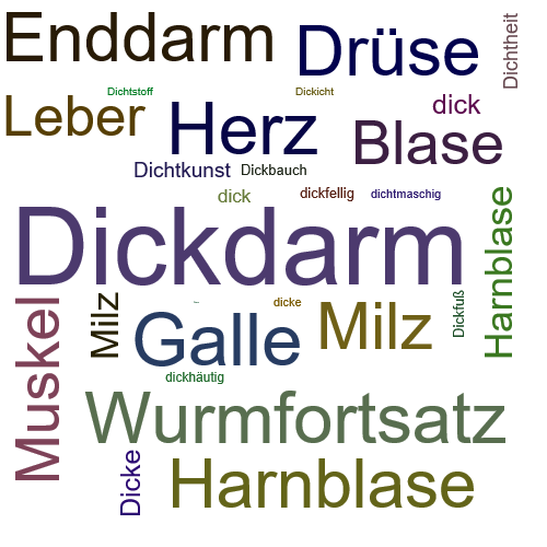 Ein anderes Wort für Dickdarm - Synonym Dickdarm