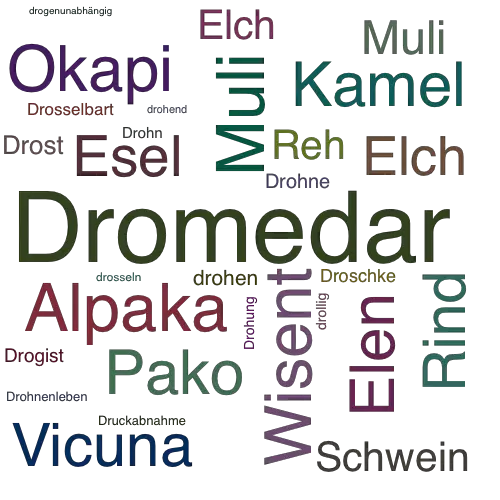 Ein anderes Wort für Dromedar - Synonym Dromedar