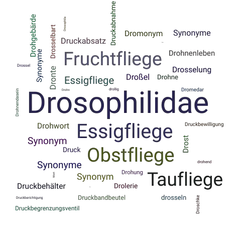 Ein anderes Wort für Drosophilidae - Synonym Drosophilidae