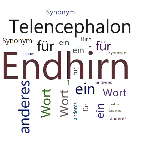 Ein anderes Wort für Endhirn - Synonym Endhirn