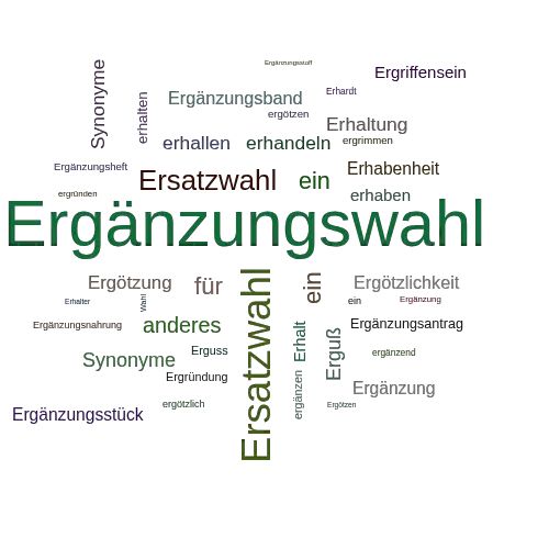Ein anderes Wort für Ergänzungswahl - Synonym Ergänzungswahl