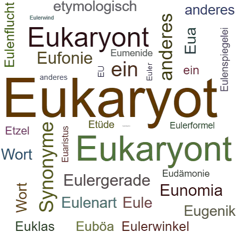 Ein anderes Wort für Eukaryot - Synonym Eukaryot