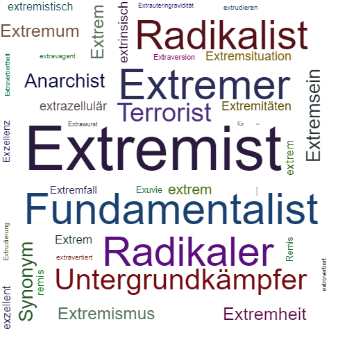 Ein anderes Wort für Extremist - Synonym Extremist