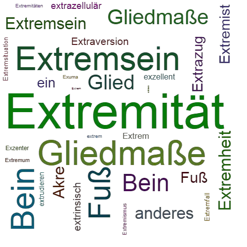 Ein anderes Wort für Extremität - Synonym Extremität