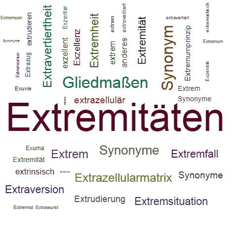 Ein anderes Wort für Extremitäten - Synonym Extremitäten