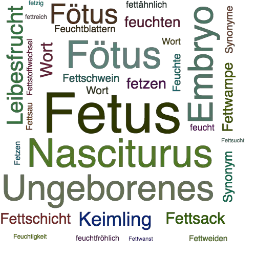 Ein anderes Wort für Fetus - Synonym Fetus