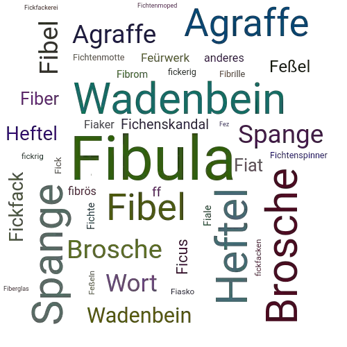 Ein anderes Wort für Fibula - Synonym Fibula