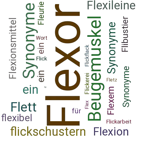 Ein anderes Wort für Flexor - Synonym Flexor