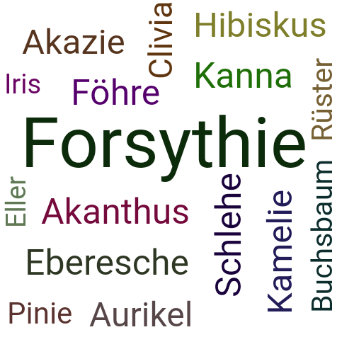Ein anderes Wort für Forsythie - Synonym Forsythie