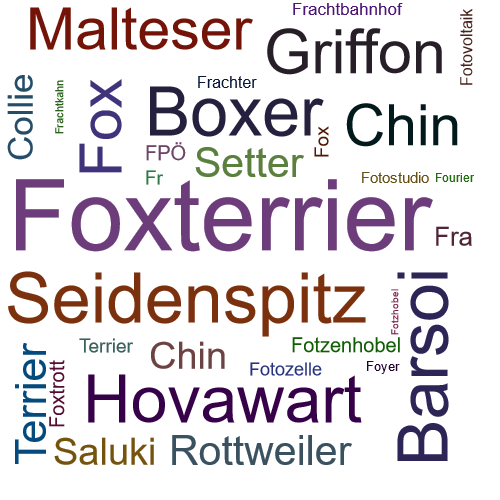 Ein anderes Wort für Foxterrier - Synonym Foxterrier