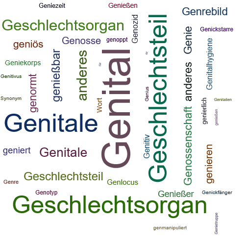 Ein anderes Wort für Genital - Synonym Genital