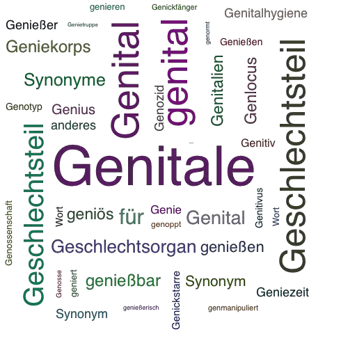 Ein anderes Wort für Genitale - Synonym Genitale